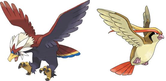 braviarypigeot