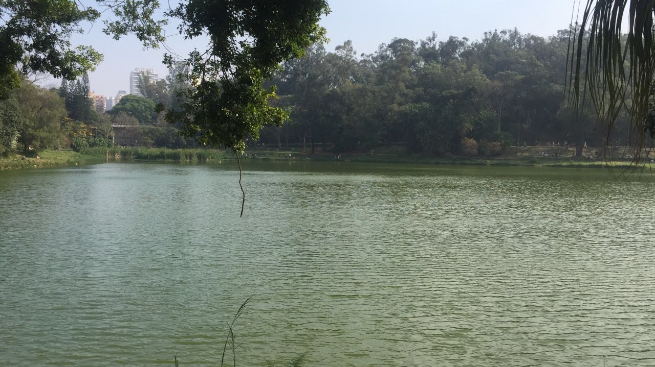 Olha que parque mais lindo!